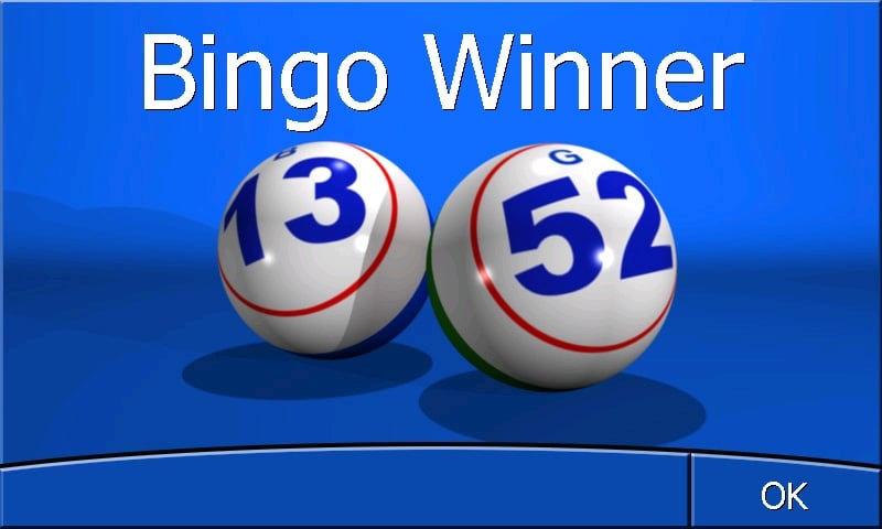 Bingo Winner Screen
